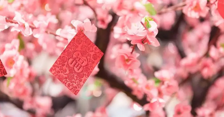 Trang Trí Cây Đào Với Phong Bao Lì Xì