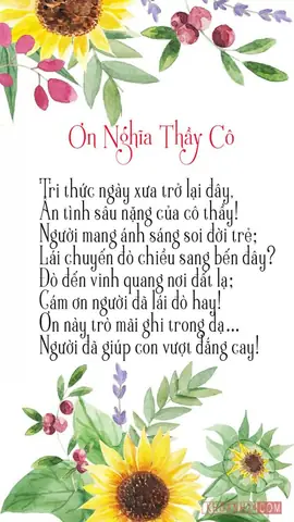 Trang Trí Chữ Nhớ Ơn Thầy Cô Đẹp Nhất Như Thế Nào?