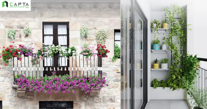 Trang Trí Góc Ban Công Chung Cư Nhỏ Tươi Mát Với Cây Xanh Và Hoa