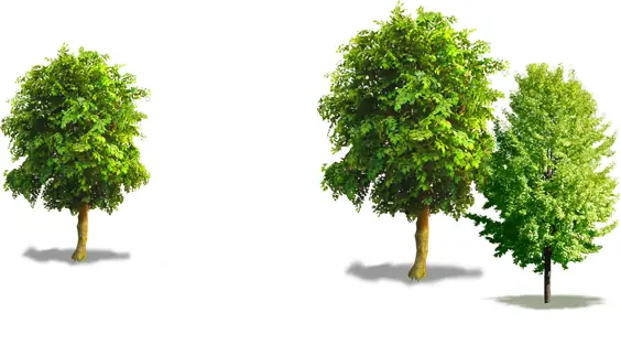 Trang Trí Góc Lớp Mầm Non Đẹp | Trường Mầm Non Hạnh Phúc