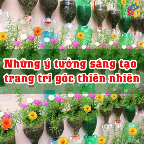 Góc Thiên Nhiên Mầm Non Và Cách Trang Trí Đẹp Mắt