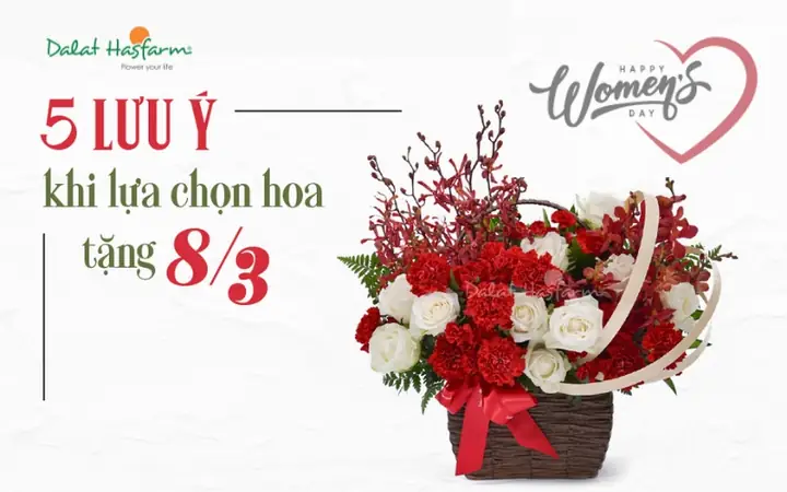 Lưu Ý Khi Lựa Chọn Hoa Tặng Ngày Quốc Tế Phụ Nữ 8-3