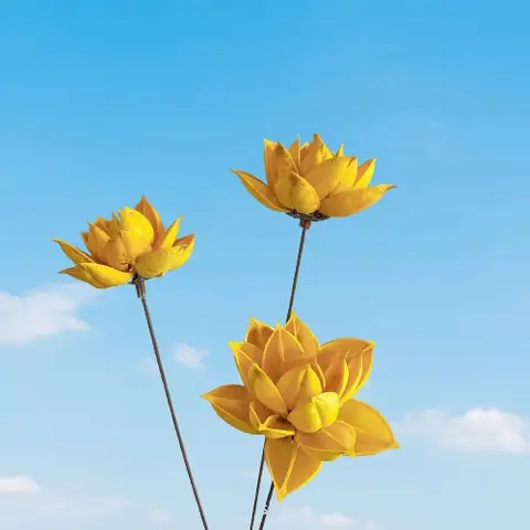 Hoa Sen Gỗ Khô Trang Trí Không Nhụy Diy - Hoa Khô Hara