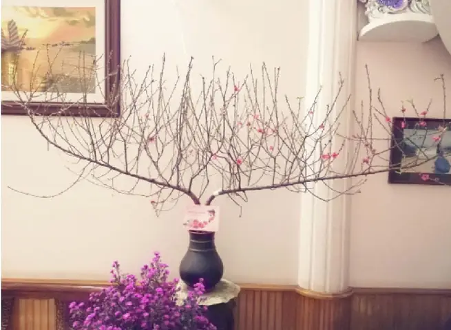 Cách Trang Trí Lọ Hoa Ngày Tết Để Tô Điểm Cho Phòng Khách?