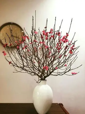 Cách Trang Trí Lọ Hoa Ngày Tết Để Tô Điểm Cho Phòng Khách?