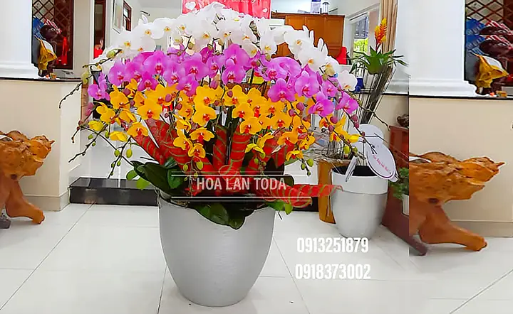 Cách Trang Trí Lọ Hoa Ngày Tết Để Tô Điểm Cho Phòng Khách?