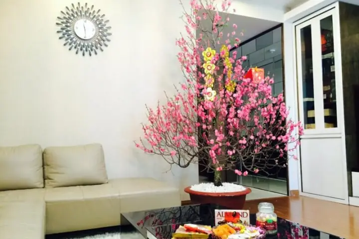 Cách Trang Trí Lọ Hoa Ngày Tết Để Tô Điểm Cho Phòng Khách?