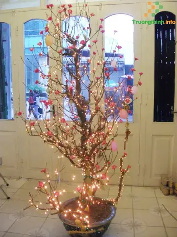 Trang Trí Cây Đào Bằng Đèn Nháy