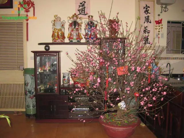 1️⃣ Cách Trang Trí Cây Đào Ngày Tết Đẹp Bằng Đèn Nháy Và Các Phụ Kiện ✔️