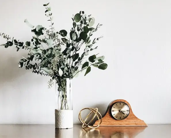 Trang Trí Cây Xanh Để Bàn Trang Trí Cây Xanh Để Bàn