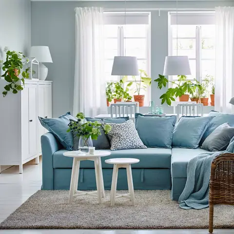 Bí Kíp Vàng Trong Trang Trí Phòng Khách Bằng Cây Xanh Bí Kíp Vàng Trong Trang Trí Phòng Khách Bằng Cây Xanh