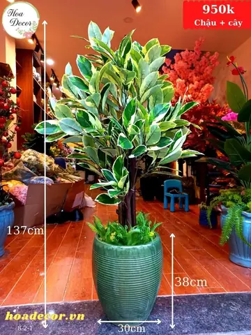 Tìm Kiếm Ý Tưởng Trang Trí Nhà Với Màu Xanh Lá Cây Được Sử Dụng Nhiều Nhất Hiện Nay?