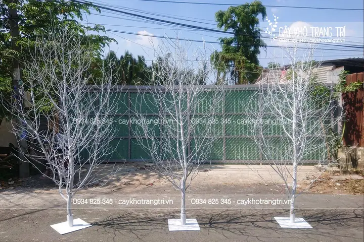 Trang Trí Noel Bằng Cây Khô Trang Trí Noel Bằng Cây Khô