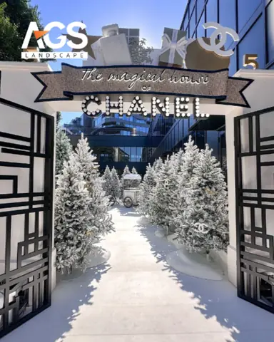 Góc "check-in" Độc Đáo Với Backdrop 3d