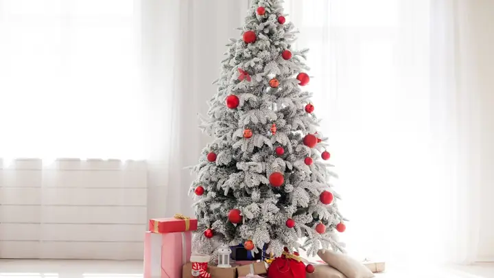 Chủ Đề White Christmas