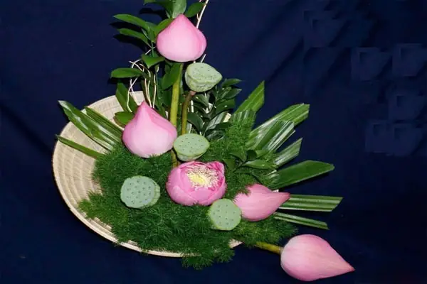 Tìm Kiếm Các Mẹo Trang Trí Nón Lá Ngày 20/10?