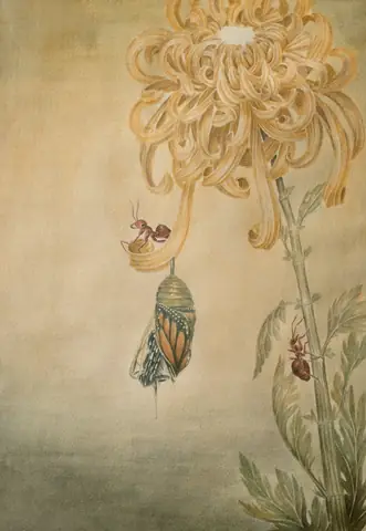 Triết Gia Trang Tử: Tiểu Sử, Tư Tưởng & Di Sản Vượt Thời Gian Triết Gia Trang Tử: Tiểu Sử, Tư Tưởng & Di Sản Vượt Thời Gian