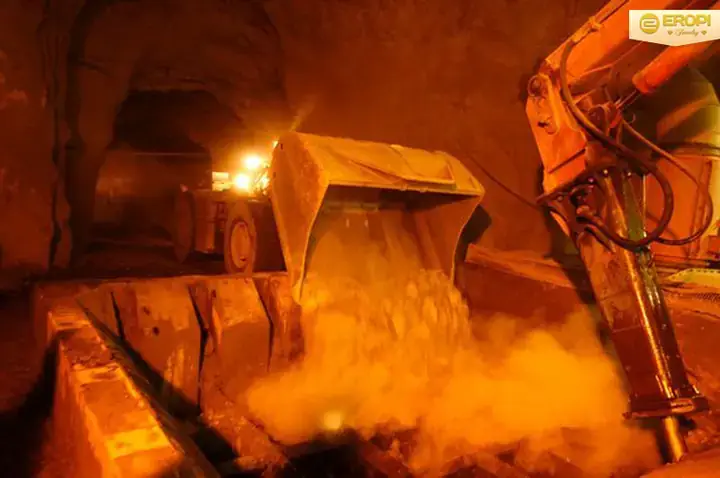 Trịnh Kim Cương Là Ai: Chân Dung Một Tượng Đài Nghệ Thuật Đa Năng Và Những Điều Bạn Chưa Biết