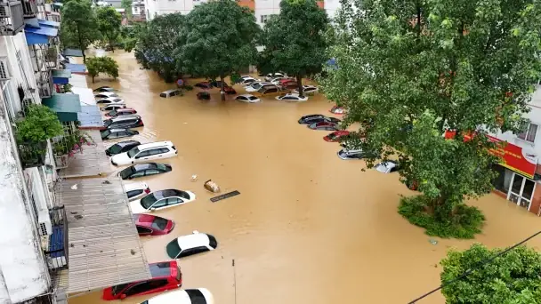 Trương Định Complex: Sự Thật Về Chủ Đầu Tư Và Những Góc Khuất Của Dự Án Tại 129d Trương Định