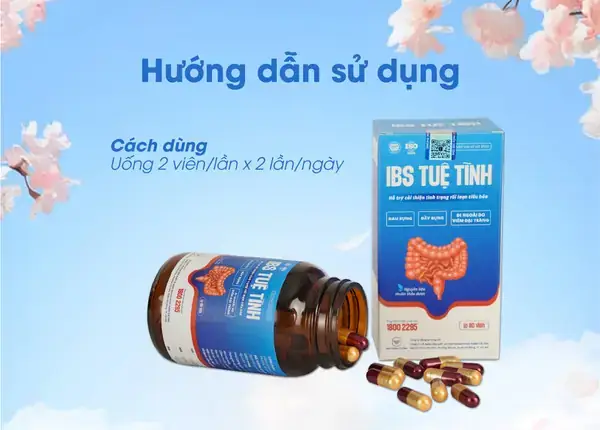 Danh Y Tuệ Tĩnh: Thân Thế, Sự Nghiệp Và Những Đóng Góp Cho Nền Y Học Dân Tộc