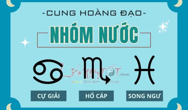 Cung Nước Gồm Cung Nào? Tổng Quan Đầy Đủ Và Chi Tiết