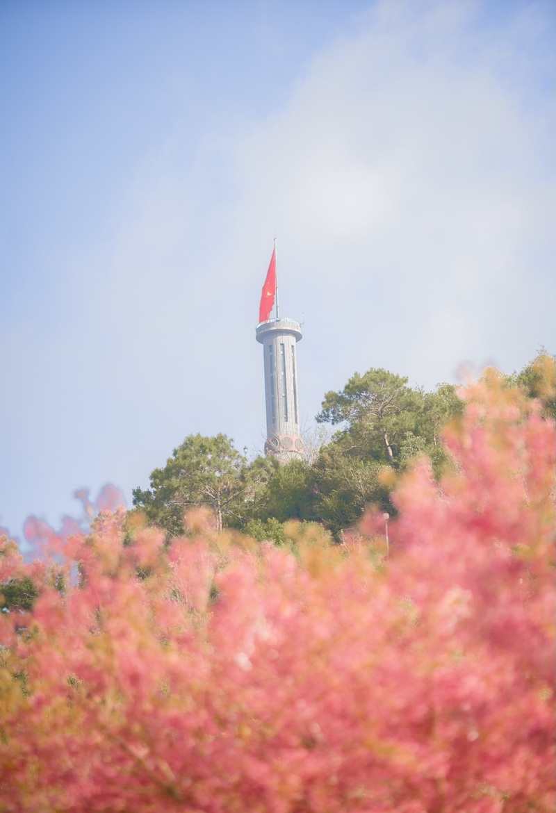 Bộ sưu tập 66+ hình nền cờ việt nam 4k siêu chất hình nền cờ việt nam 4k 6