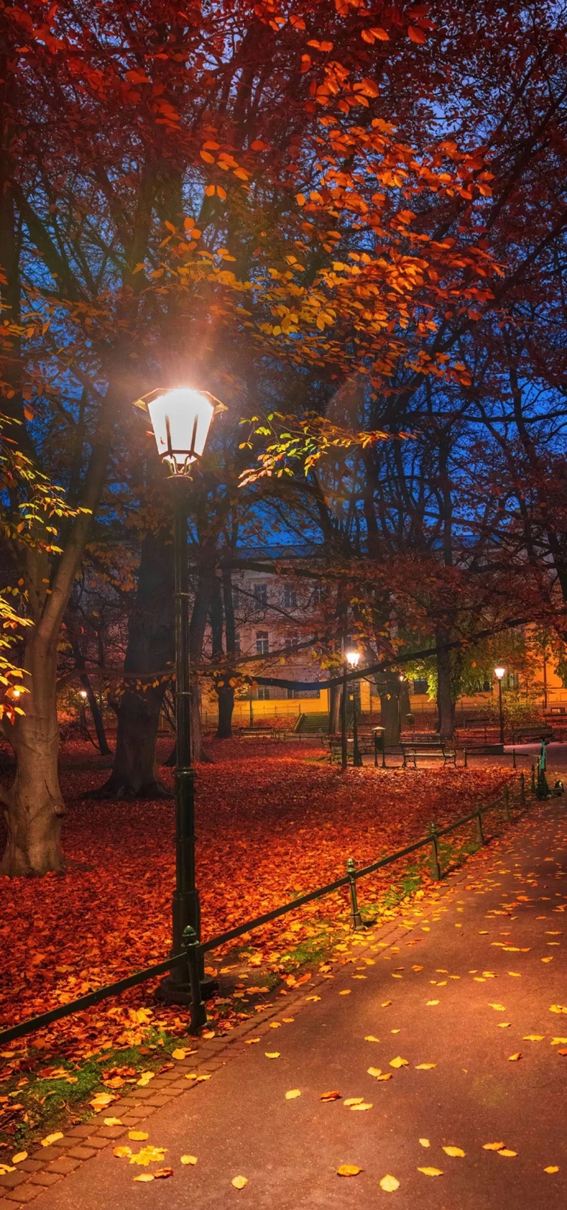 Top 99+ Hình nền iphone 15 pro max 4k đẹp siêu nét hình nền iphone 15 pro max 4k đẹp 4