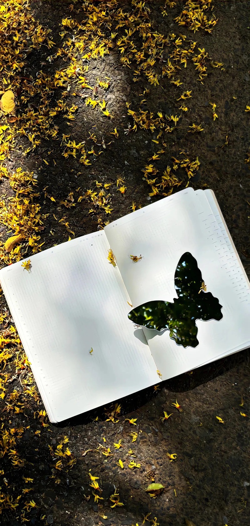 Top 99+ Hình nền iphone 15 pro max 4k đẹp siêu nét hình nền iphone 15 pro max 4k đẹp 5