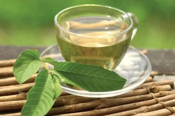 Uống Nước La Ổi Giảm Cân Vào Lúc Nào Tốt Nhất?