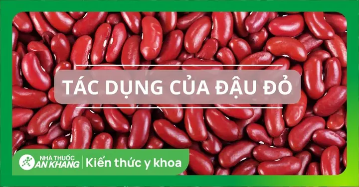 Ăn Đậu Đỏ Có Tác Dụng Gì? Tổng Hợp 15 Lợi Ích Sức Khỏe Vàng