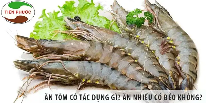 Ăn Tôm Có Tác Dụng Gì? Tổng Hợp Lợi Ích Khoa Học & Lưu Ý Quan Trọng Ăn Tôm Có Tác Dụng Gì? Tổng Hợp Lợi Ích Khoa Học & Lưu Ý Quan Trọng