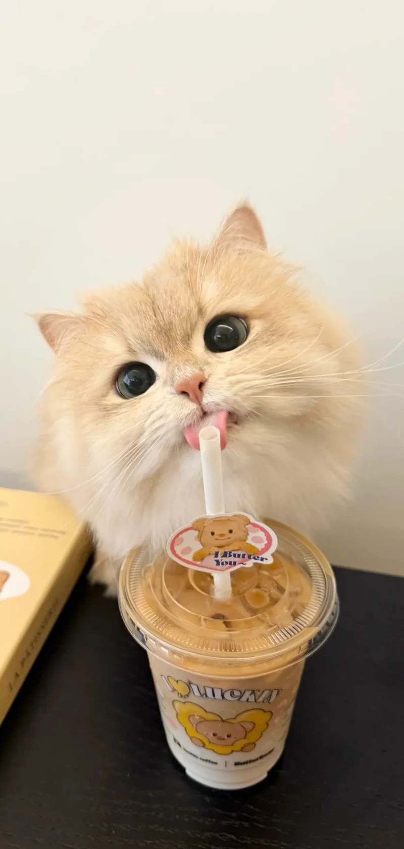 Tải ngay 78+hình nền điện thoại cute siêu cấp đáng yêu (full hd) hình nền điện thoại cute 3