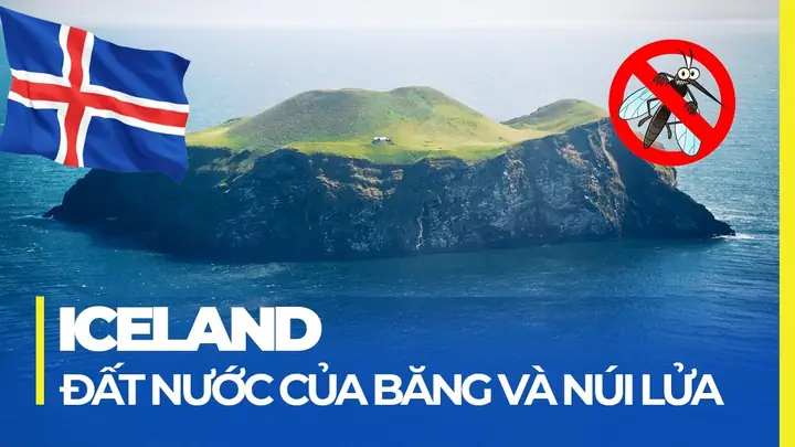 Iceland Là Nước Nào? Tổng Quan Từ Địa Lý Đến Văn Hóa