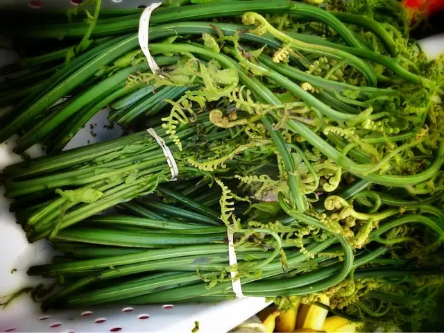 Rau dớn có tác dụng gì? Tổng hợp công dụng và lợi ích cho sức khỏe Rau Dớn Có Tác Dụng Gì? Tổng Hợp Công Dụng Và Lợi Ích Cho Sức Khỏe