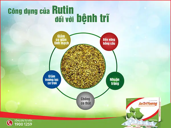 Routine Có Tác Dụng Gì? Lợi Ích Khoa Học Cần Biết