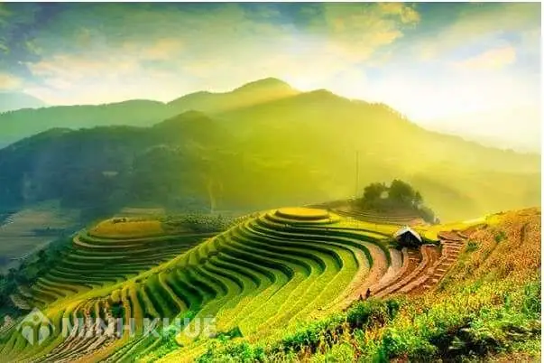 Thiên Nhiên Vùng Núi Đông Bắc Việt Nam Có Đặc Điểm Gì?