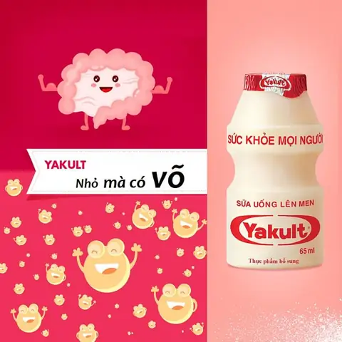 Uống Yakult Có Tác Dụng Gì? Phân Tích Khoa Học Và Lời Khuyên Thực Tế